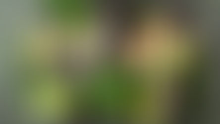 Günlük halsizlik, susuzluk ve şişkinlik çoğu zaman elektrolit dengesizliğiyle ilişkilidir. Bu yazıda, bitkisel beslenmede doğal minerallerle elektrolit dengesini nasıl koruyabileceğinizi sade ve bilimsel bir yaklaşımla ele alıyoruz.