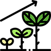 Growth