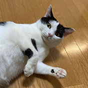 IMG_6156 2_edited.jpg