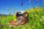 iStock-469790665.jpg