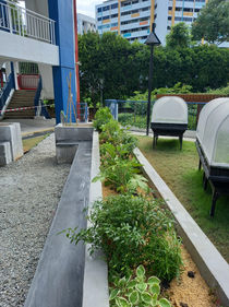 Naval Base Primary School