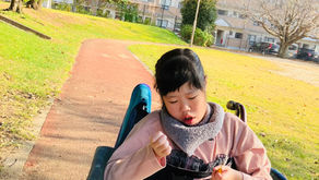 どんぐりを見つけたよ🎵