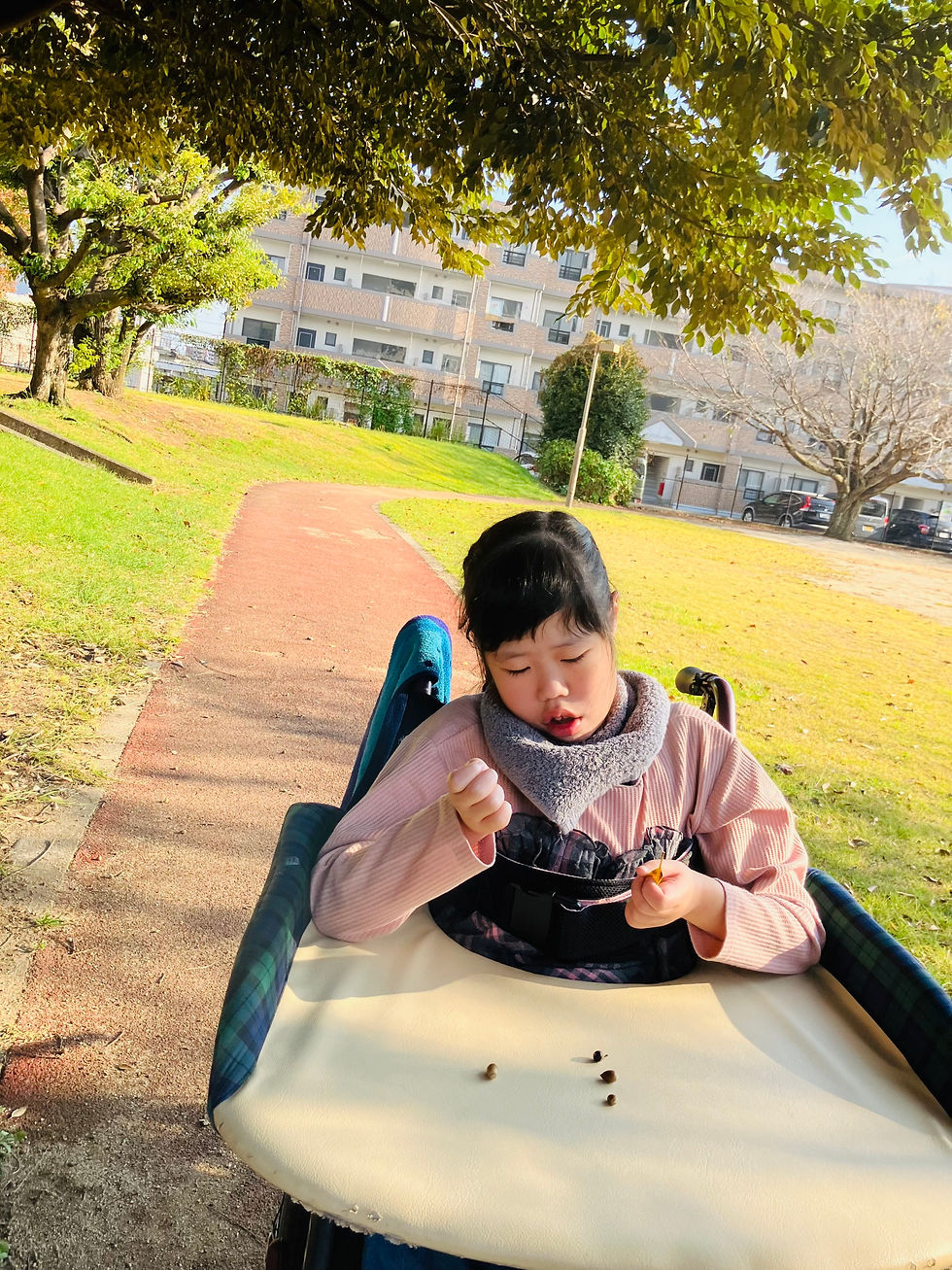 どんぐりを見つけたよ🎵