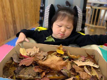 秋なランタンを作ったよ!