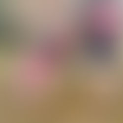 三丁目公園へ行きました🛝