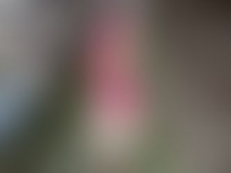 お地蔵さんまでお散歩🍂