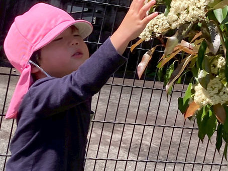 公園へお散歩🛝