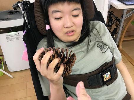 秋を感じよう♪