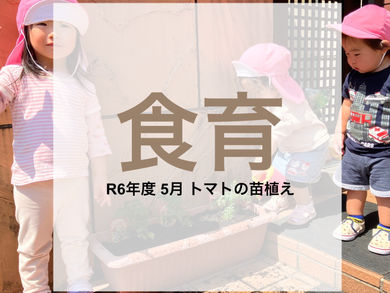 5月食育