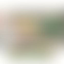 🎅クリスマス製作🎄