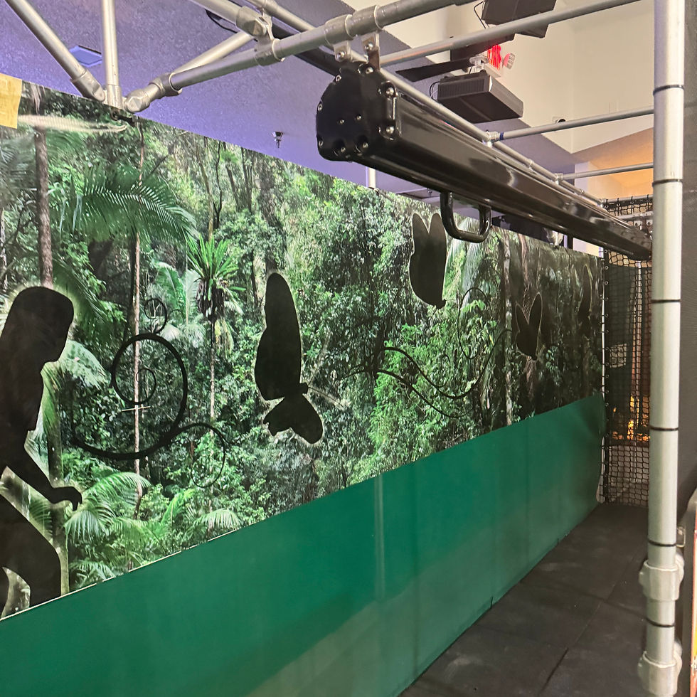 A small black zipline installled in front of a rainforest backdrop with black silhouettes of a child and butterflies
