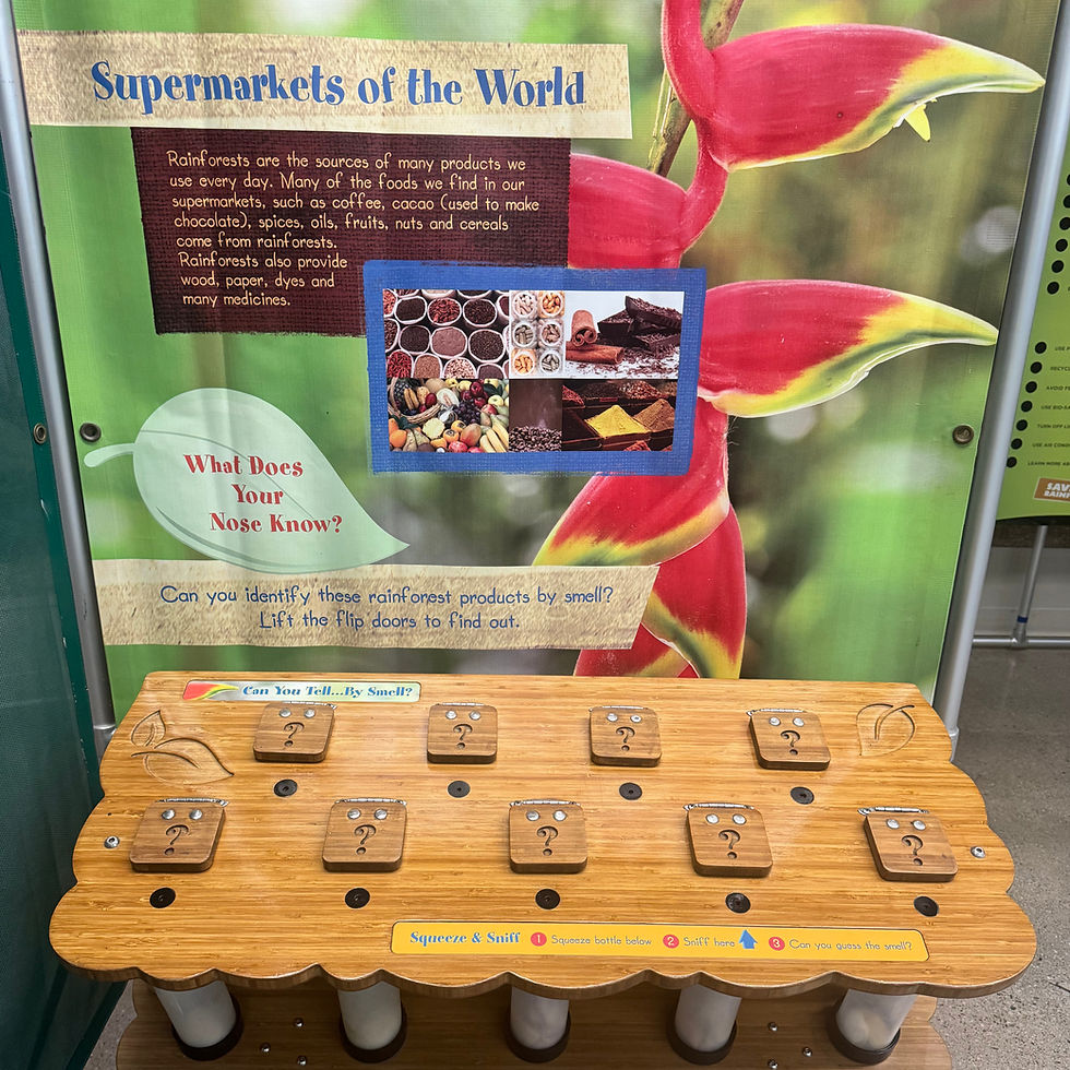 Image reads "Supermarkets of the World", with a wodden table at the bottom with question marks to open up to identify scents.