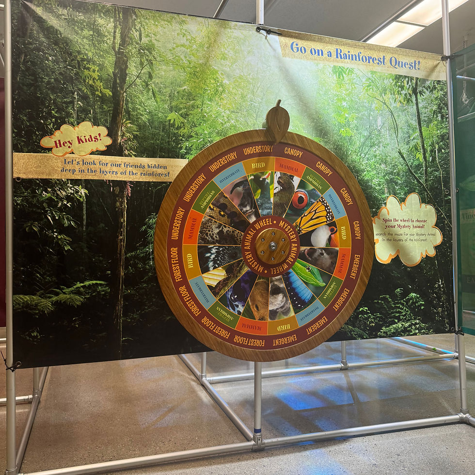 A colorful wooden wheel in front of a green rainforest backdrop.