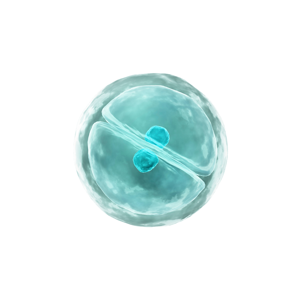 Untitled design - 2025-04-25T165540.074 (8).png