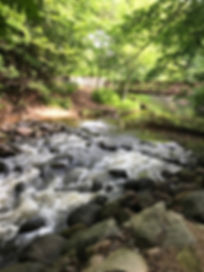 Creek rocks.jpeg