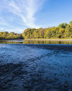 shutterstock_1831296463 copy.jpg