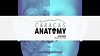 CARACAS ANATOMY