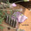 Miniatura: Jabón natural
