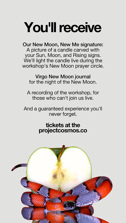 NMNM Newsletter (3).png