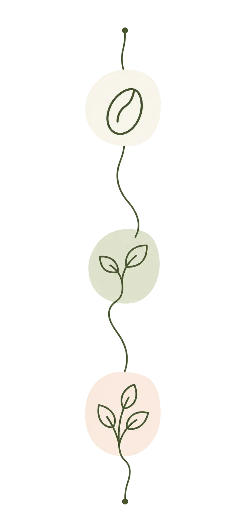 semillas, brotes, hojas.png