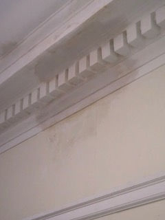 Ornamental Plaster Repair Pricing