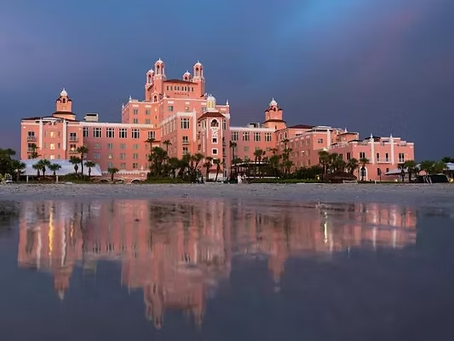 Florida's Iconic Pink Hotels:     Plaster, Pigment and Prestige                                  