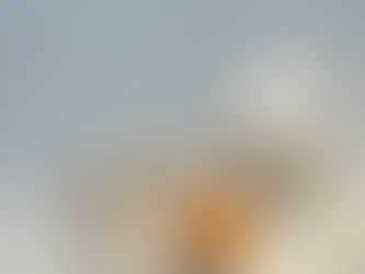 Marina Stern (1928 - 2017)