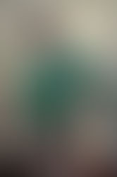 Frank Tolles Chamberlin (1873 – 1961)