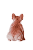 7_edited.png