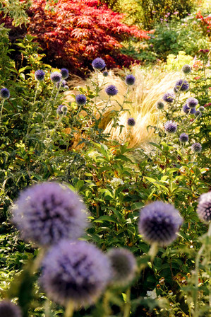 Fotogarten van Meer