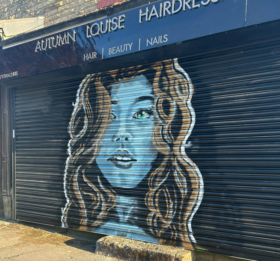 hairshutterafter1.jpeg