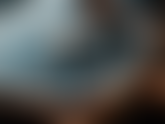 Why Choose a Private Watch Dealer in the USA