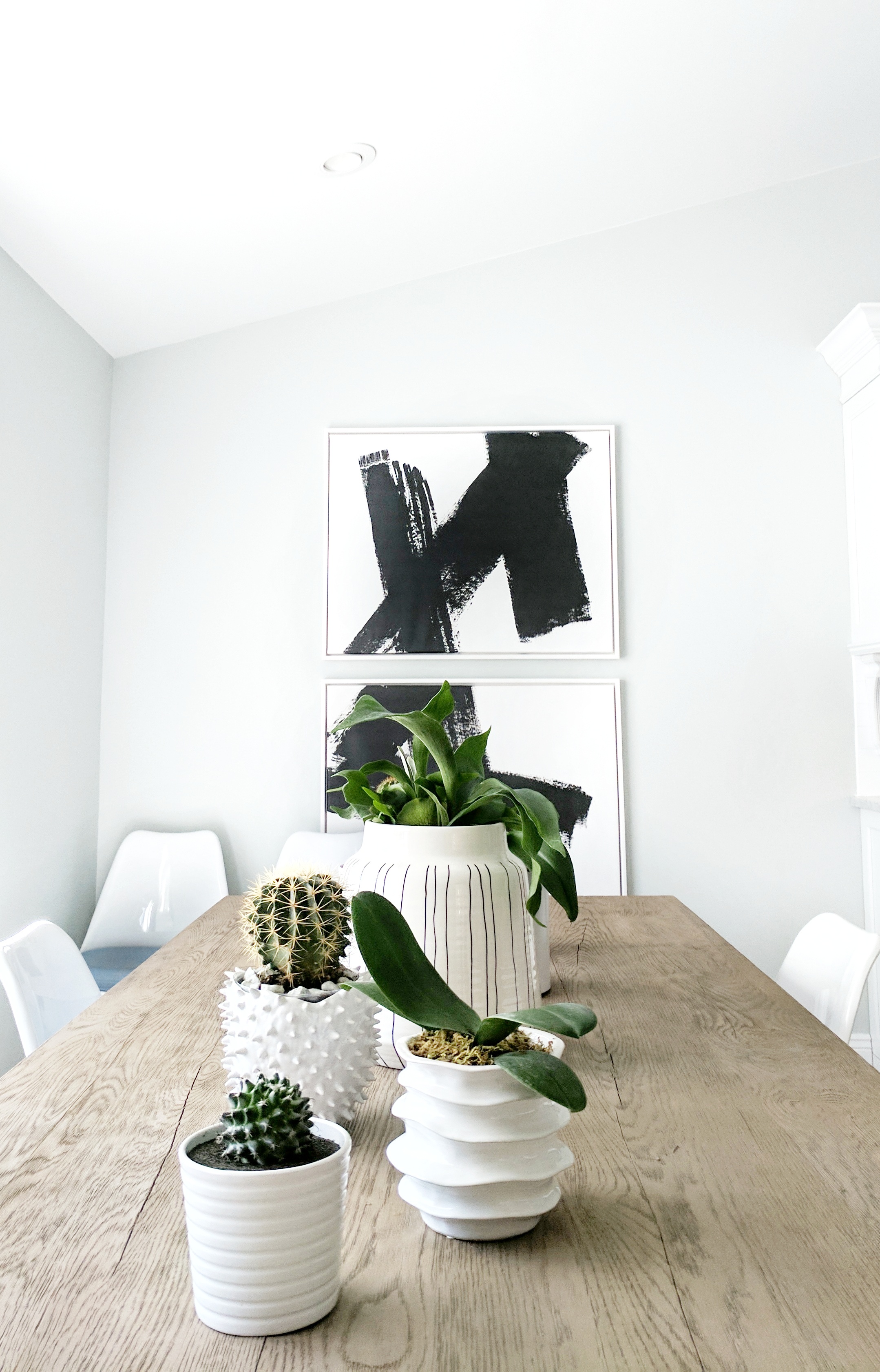 garden city | long island