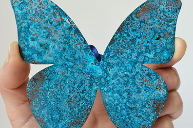 Butterfly hanging.JPG