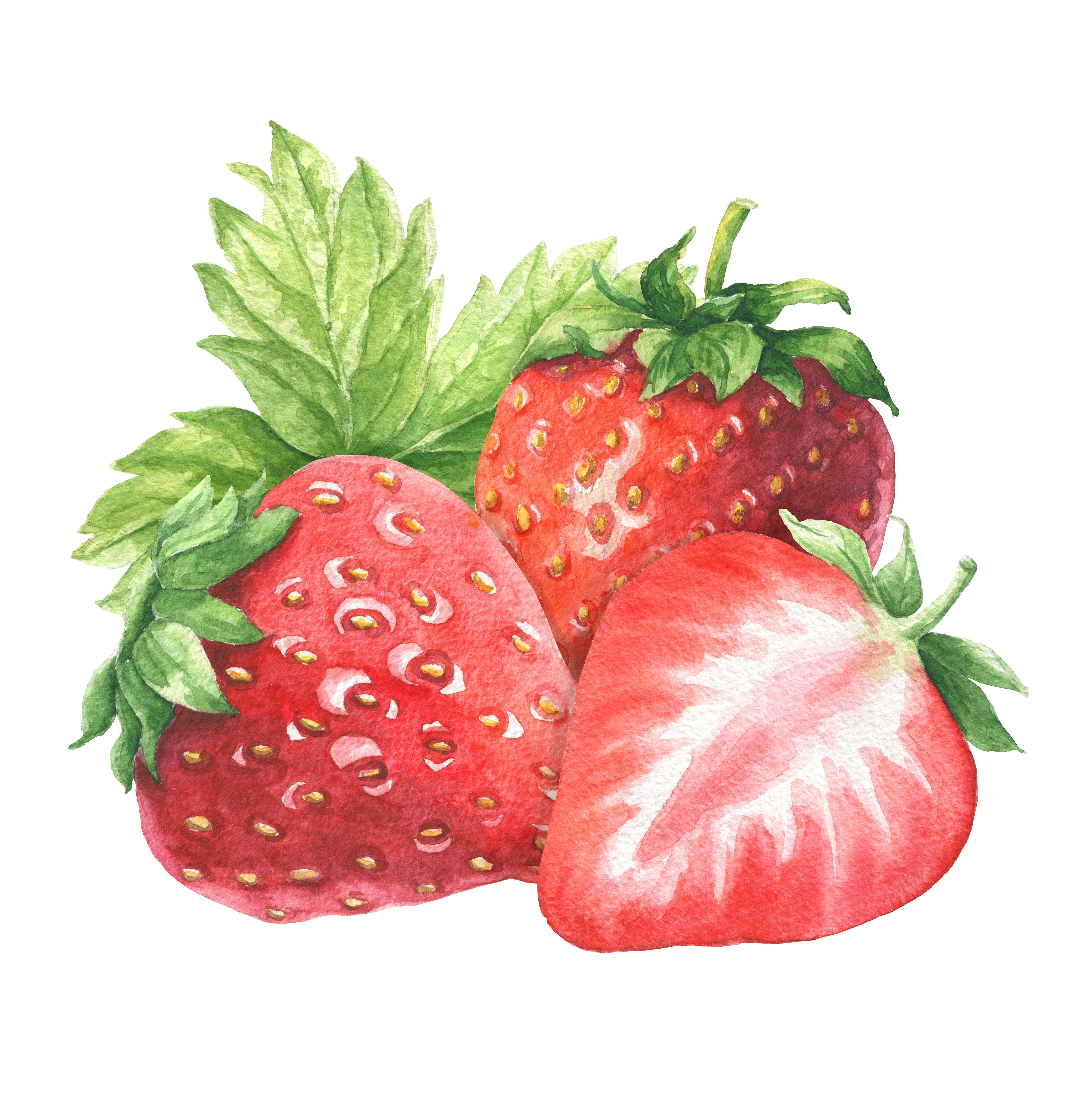 Fragrance naturelle | Gâteau à la fraise