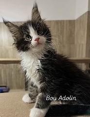 WhatsApp Image 2026-04-06 at 12.32.53 (1).jpeg