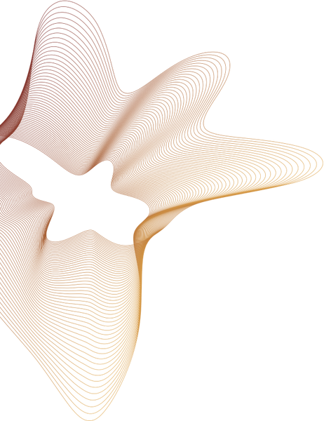 image 264 (1).png