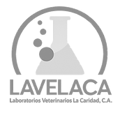 lavelaca_edited.png