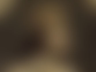 Charles V le Sage, roi de France