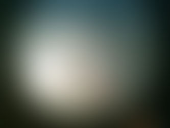 Jerôme Bosch, Visions de l'au-delà (Montée des bienheureux vers l'empyrée), vers 1505 -1515