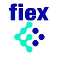 logo-fiexmarketing.jpg