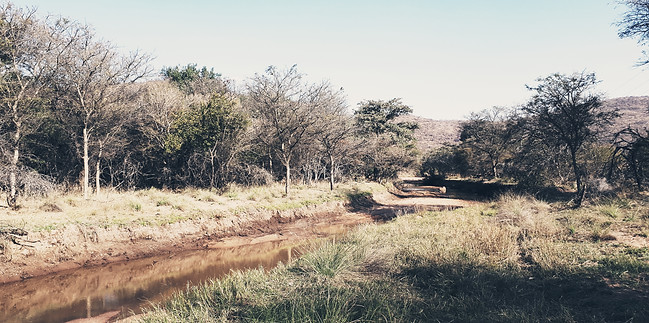 20170813_153954.jpg