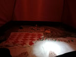 IMG_20210520_165224.jpg