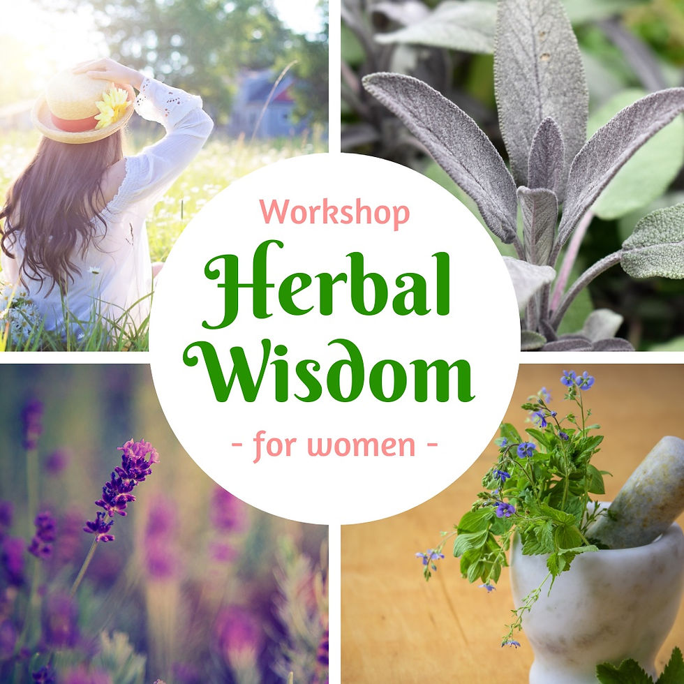 Woman's Herbal Workshop