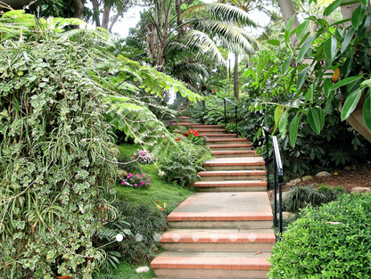 a place to meditate