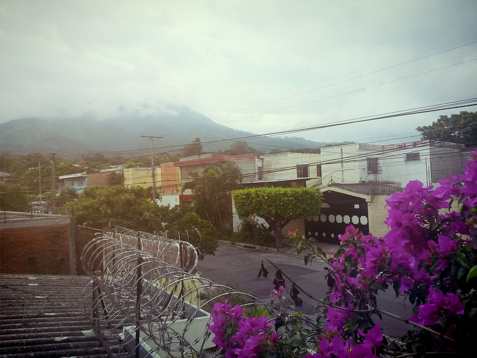 Terraza