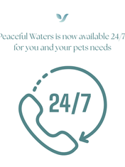 Peaceful Waters Aquamation Is Now Open 24 Hours a Day, 7 Days a Week