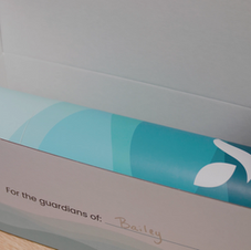 Why We Use Biodegradable Packaging 