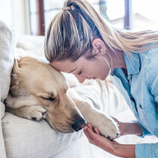 What to Do When Your Pet Dies at Home