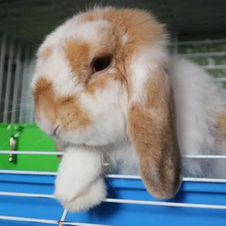 Dr. Rose Featured on Insider Article 